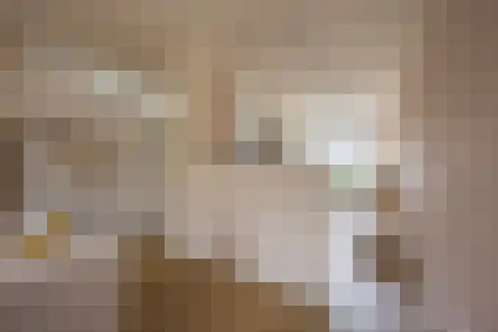 Reling 98 Nijkerk thumbnail 8