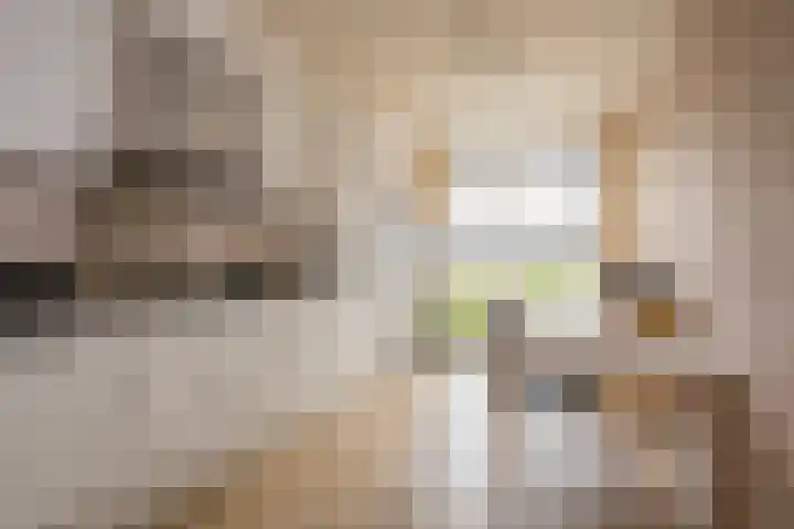 Reling 98 Nijkerk thumbnail 9