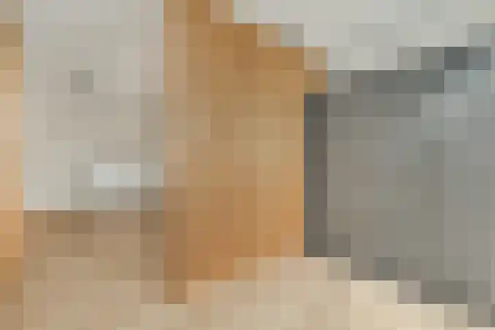 Relweg 2 A Wijk aan Zee thumbnail 12