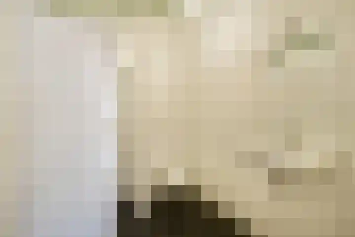 Relweg 2 A Wijk aan Zee thumbnail 5