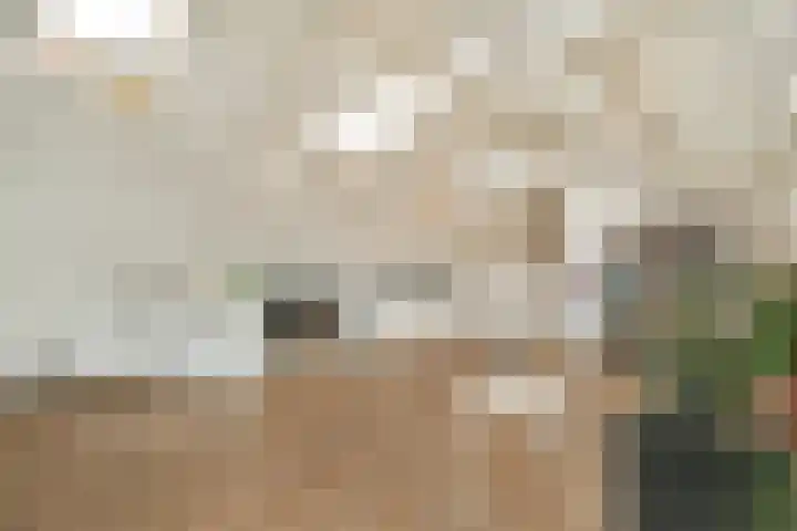 Relweg 2 A Wijk aan Zee thumbnail 6