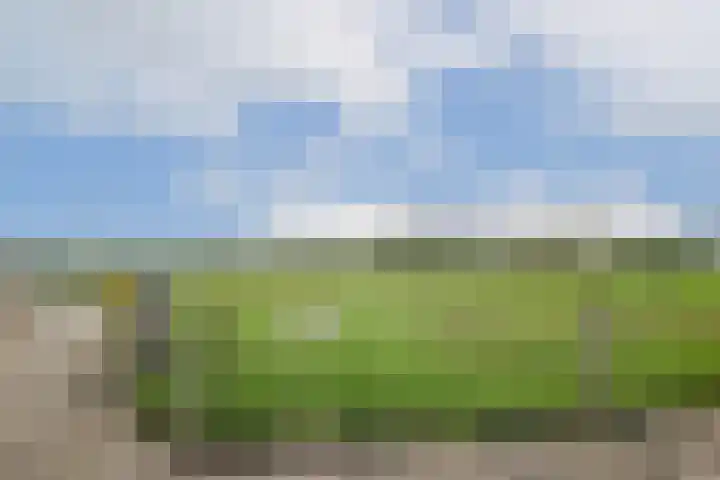 Relweg 2 A Wijk aan Zee thumbnail 9