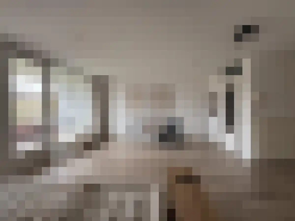 Remalunet 17 D Maastricht thumbnail 6