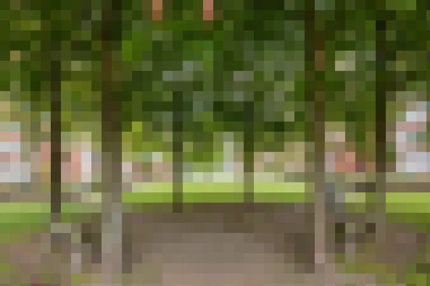 Remalunet 31 B Maastricht thumbnail 31