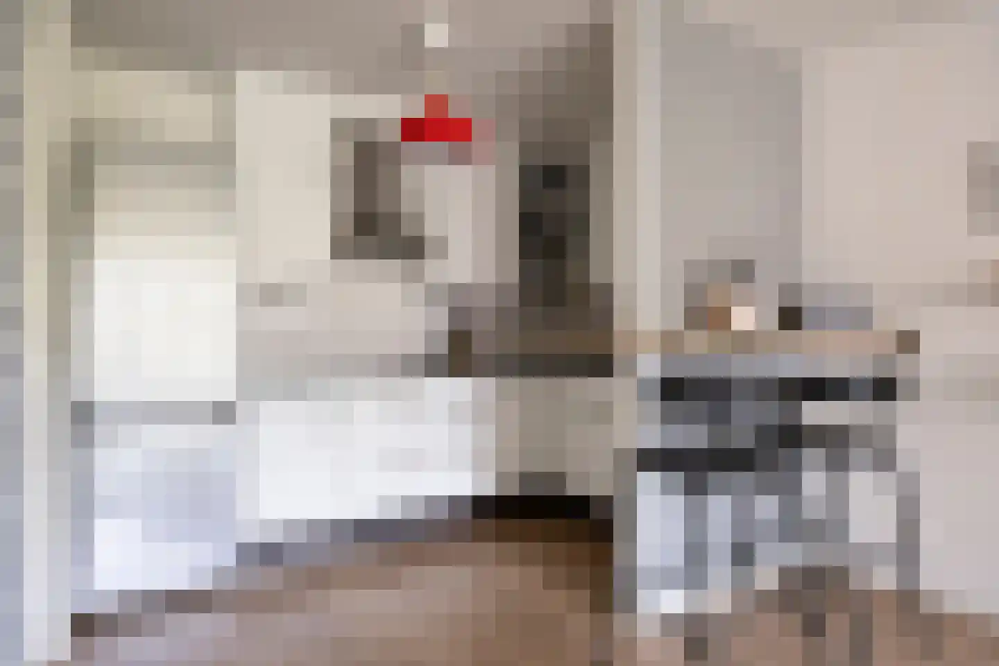 Remalunet 31 E Maastricht thumbnail 18