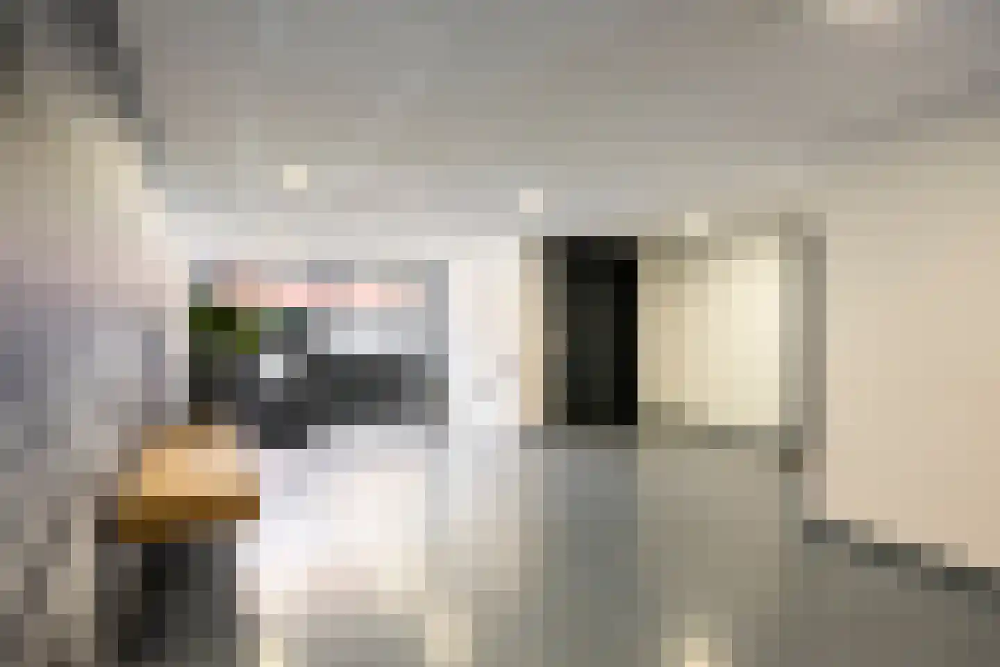 Remalunet 31 F Maastricht thumbnail 8