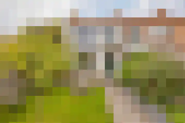 Rembangstraat 26 Haarlem thumbnail 28