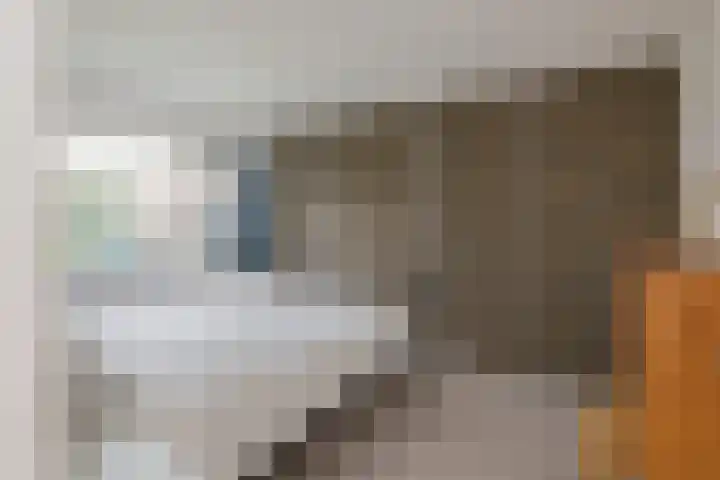 Rembangstraat 26 Haarlem thumbnail 31