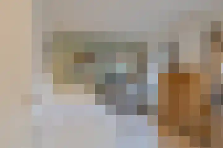 Rembangstraat 26 Haarlem thumbnail 36