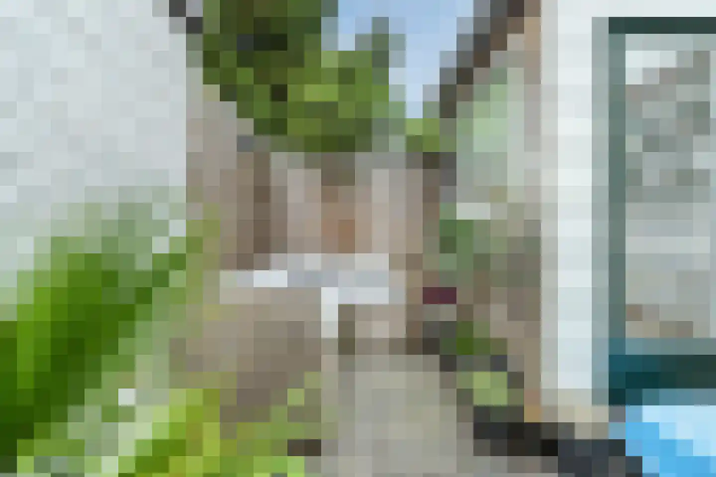 Rembangstraat 3 Haarlem thumbnail 23