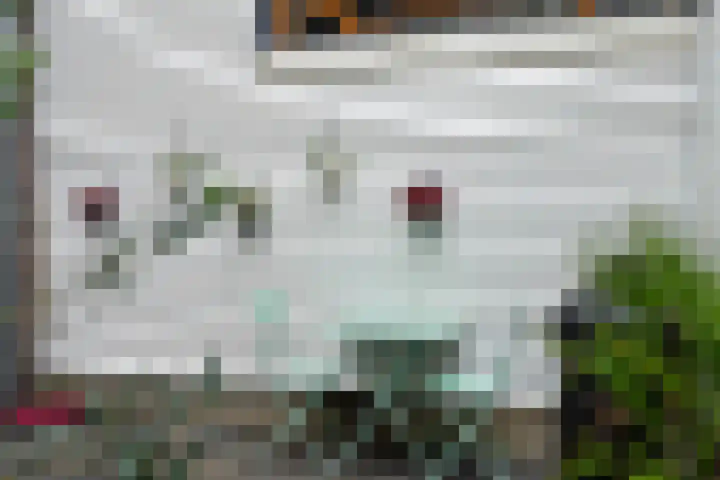 Rembangstraat 3 Haarlem thumbnail 27