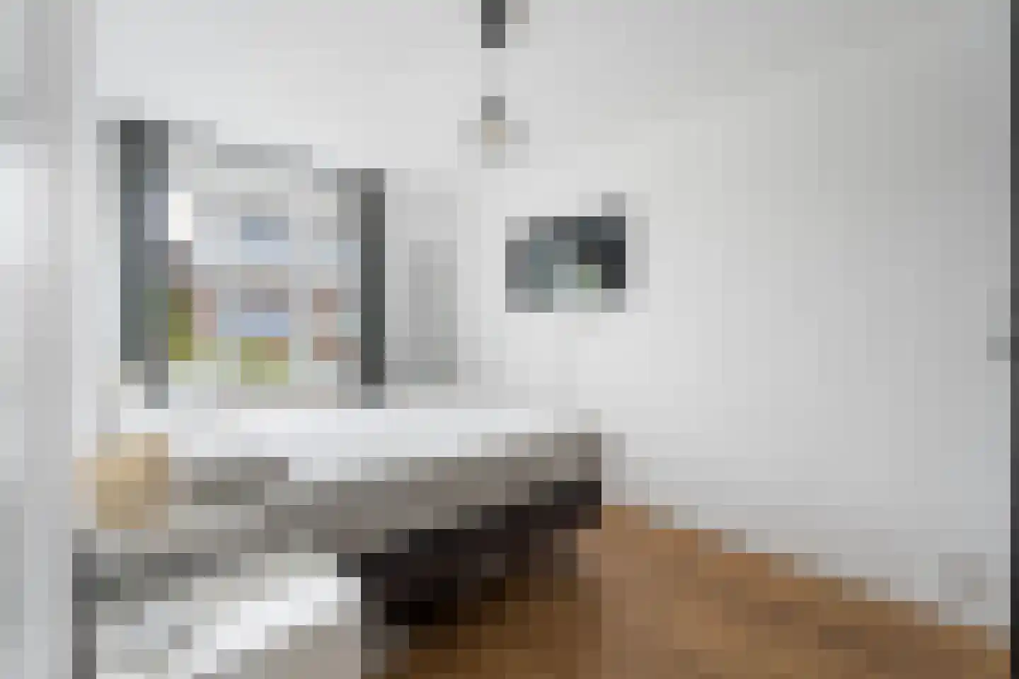 Rembangstraat 3 Haarlem thumbnail 34
