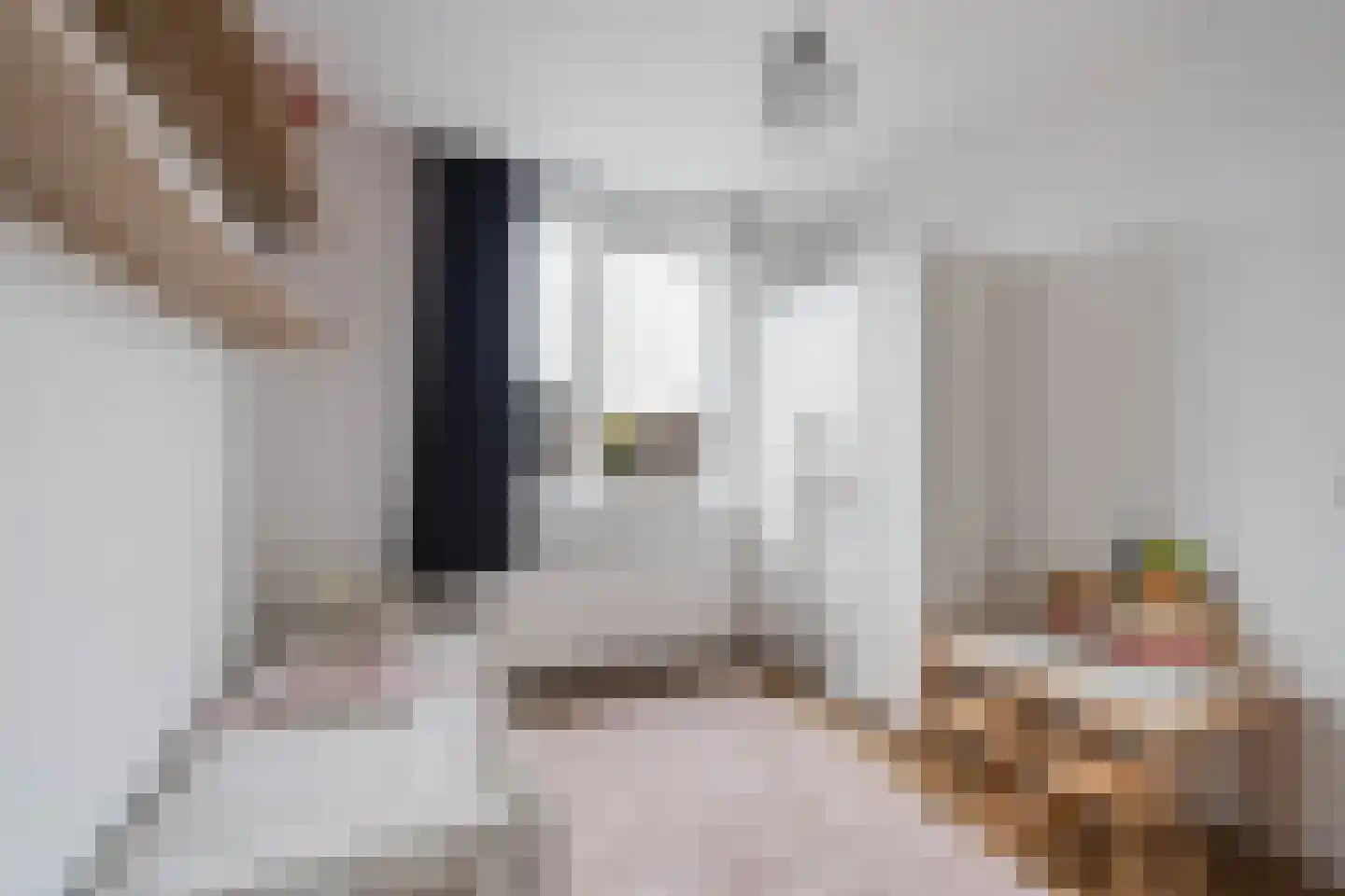 Rembangstraat 3 Haarlem thumbnail 44