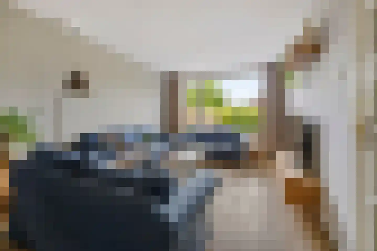 Rembrandt van Rijnhof 16 Nederhorst den Berg thumbnail 8