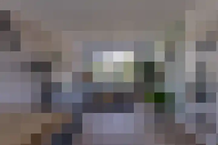 Rembrandt van Rijnhof 3 Nederhorst den Berg thumbnail 11