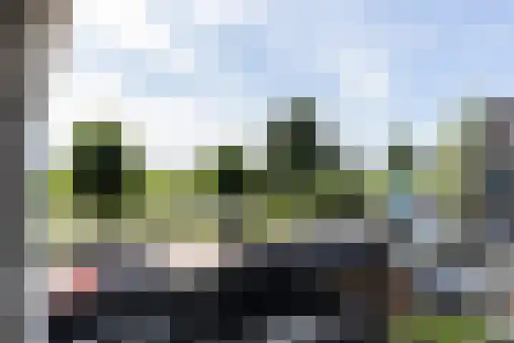 Rembrandt van Rijnhof 3 Nederhorst den Berg thumbnail 22