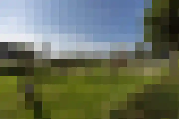 Rembrandt van Rijnhof 3 Nederhorst den Berg thumbnail 33