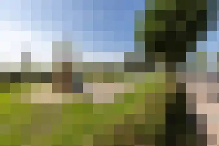 Rembrandt van Rijnhof 3 Nederhorst den Berg thumbnail 34