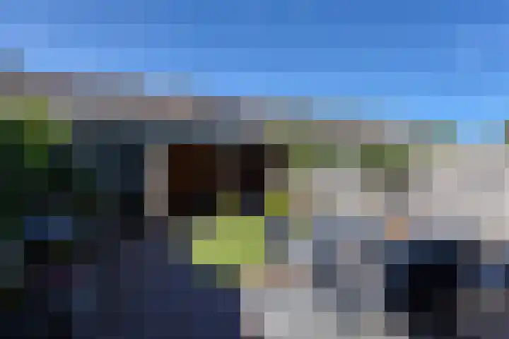 Rembrandt van Rijnhof 3 Nederhorst den Berg thumbnail 5