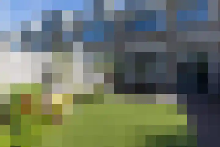 Rembrandt van Rijnhof 3 Nederhorst den Berg thumbnail 7