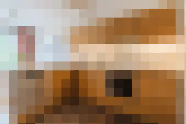 Rembrandt van Rijnlaan 11 Berkel-Enschot thumbnail 16
