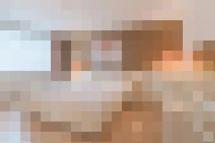 Rembrandt van Rijnlaan 11 Berkel-Enschot thumbnail 21