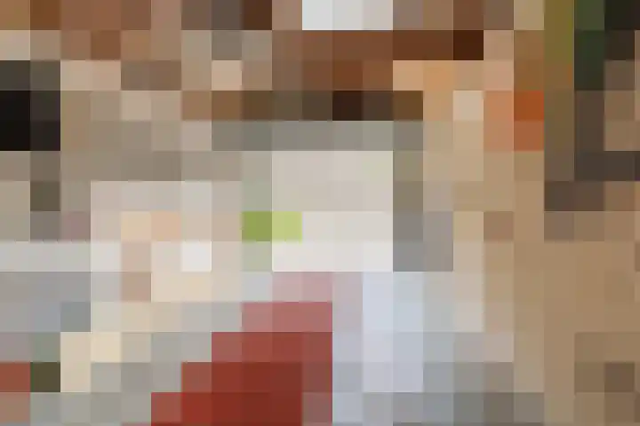 Rembrandt van Rijnlaan 11 Berkel-Enschot thumbnail 39