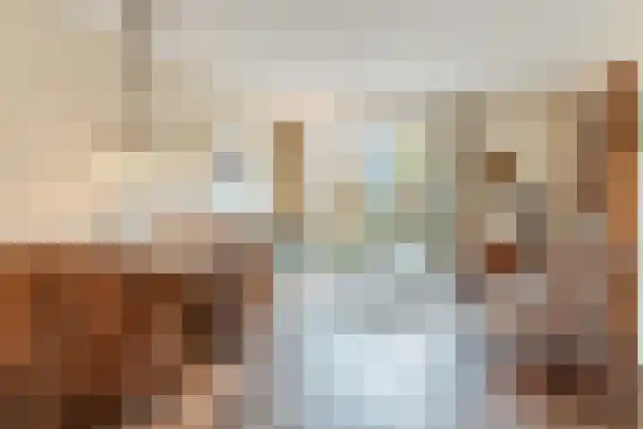 Rembrandt van Rijnlaan 15 Berkel-Enschot thumbnail 12