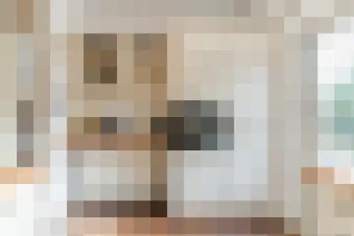 Rembrandt van Rijnlaan 15 Berkel-Enschot thumbnail 15