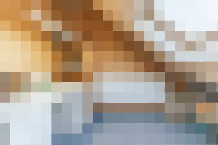 Rembrandt van Rijnlaan 15 Berkel-Enschot thumbnail 32