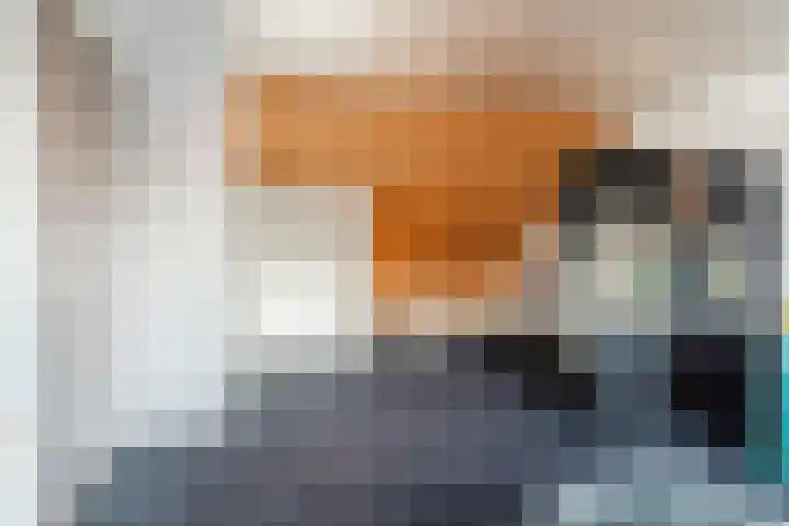 Rembrandt van Rijnlaan 15 Berkel-Enschot thumbnail 35