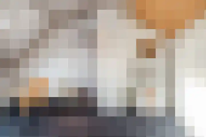 Rembrandt van Rijnlaan 15 Berkel-Enschot thumbnail 36