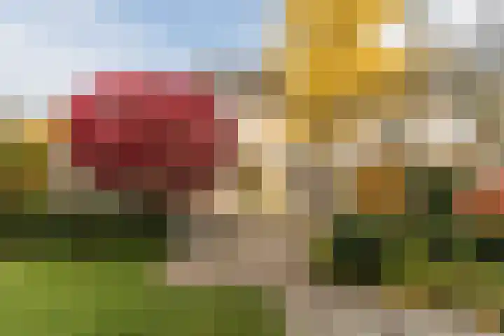 Rembrandt van Rijnlaan 15 Berkel-Enschot thumbnail 4