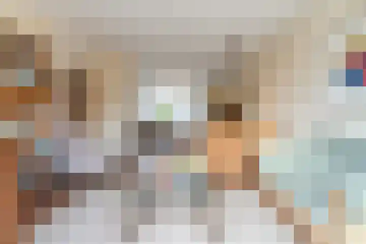 Rembrandt van Rijnlaan 15 Berkel-Enschot thumbnail 8