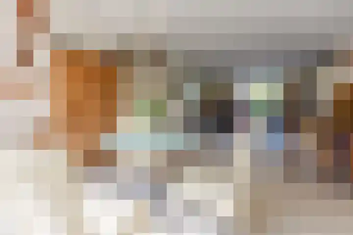 Rembrandt van Rijnlaan 28 Oegstgeest thumbnail 15