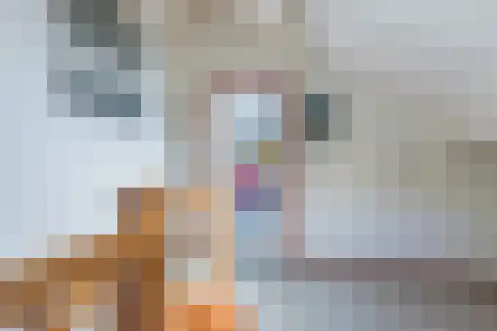 Rembrandt van Rijnlaan 28 Oegstgeest thumbnail 40
