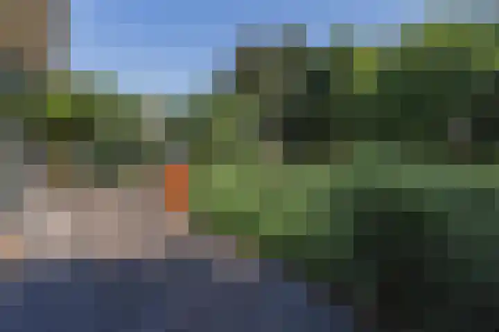 Rembrandt van Rijnlaan 28 Oegstgeest thumbnail 50