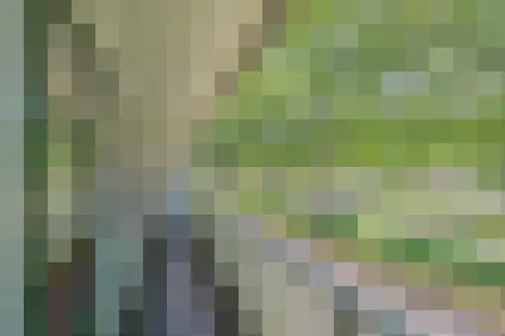 Rembrandt van Rijnlaan 33 Oegstgeest thumbnail 35