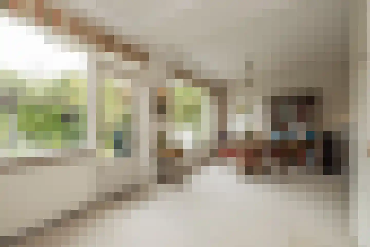 Rembrandt van Rijnlaan 6 Oegstgeest thumbnail 15
