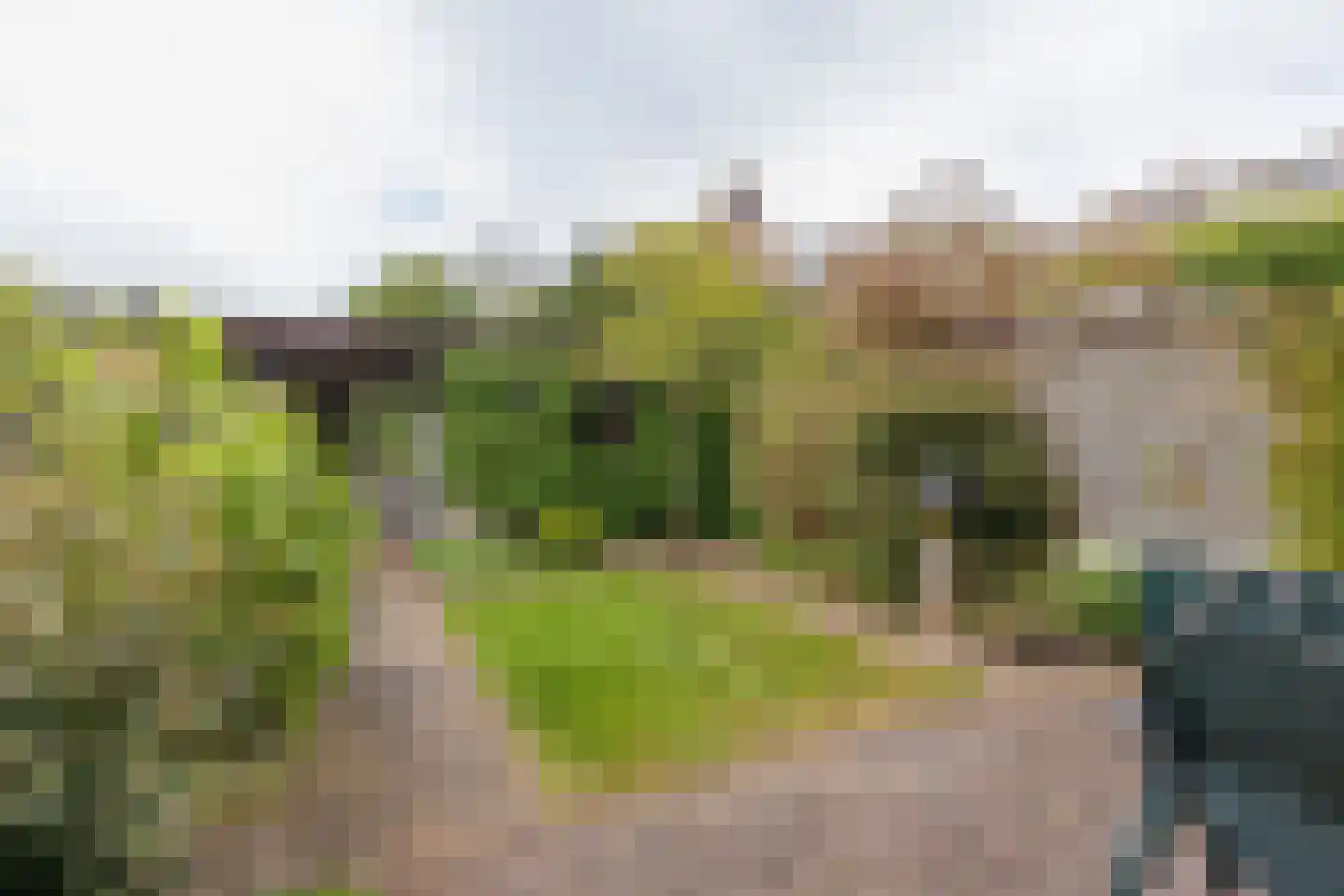 Rembrandt van Rijnlaan 6 Oegstgeest thumbnail 16