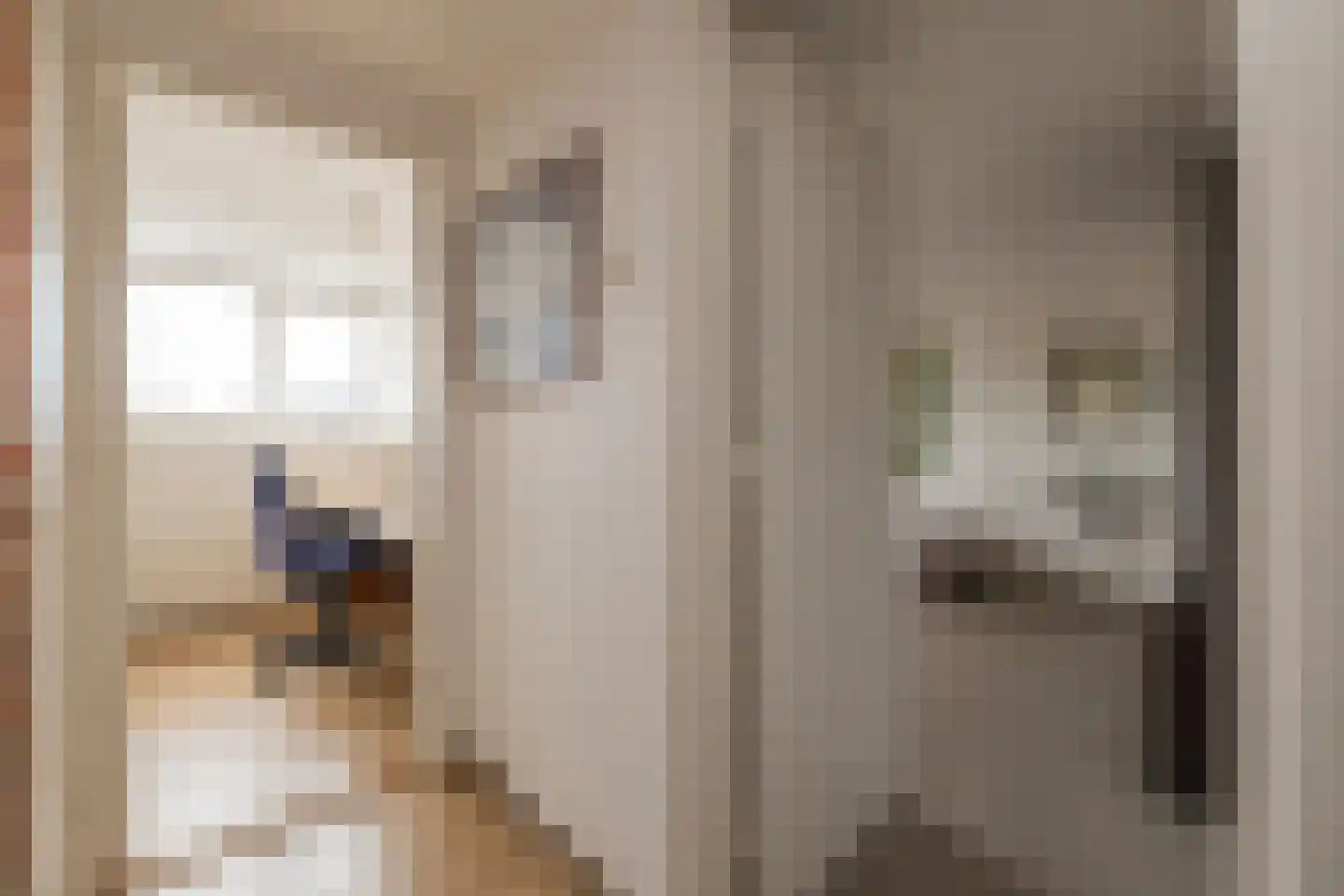 Rembrandt van Rijnlaan 6 Oegstgeest thumbnail 40