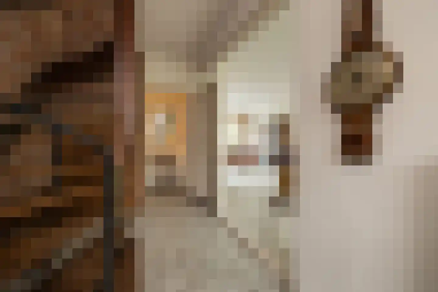 Rembrandt van Rijnlaan 6 Oegstgeest thumbnail 6
