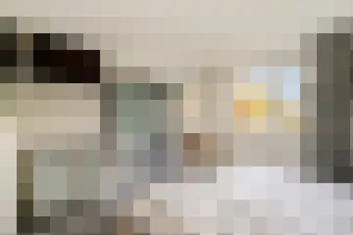 Rembrandt van Rijnsingel 80 Roelofarendsveen thumbnail 10