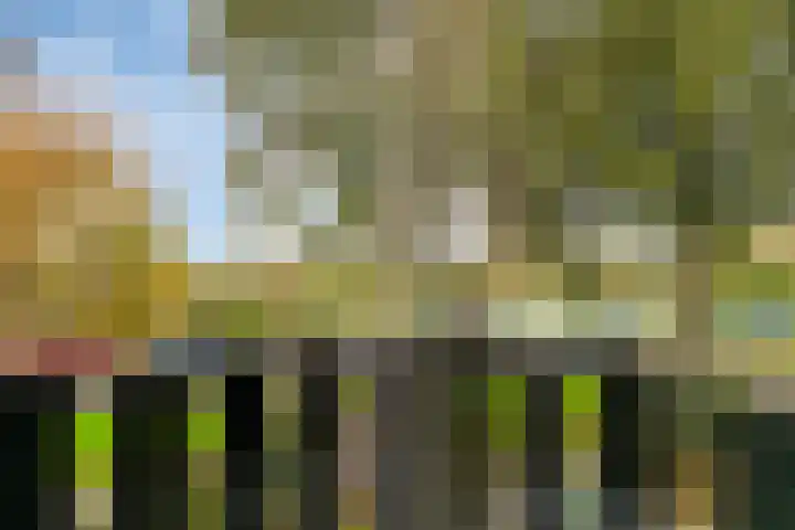 Rembrandt van Rijnsingel 80 Roelofarendsveen thumbnail 11