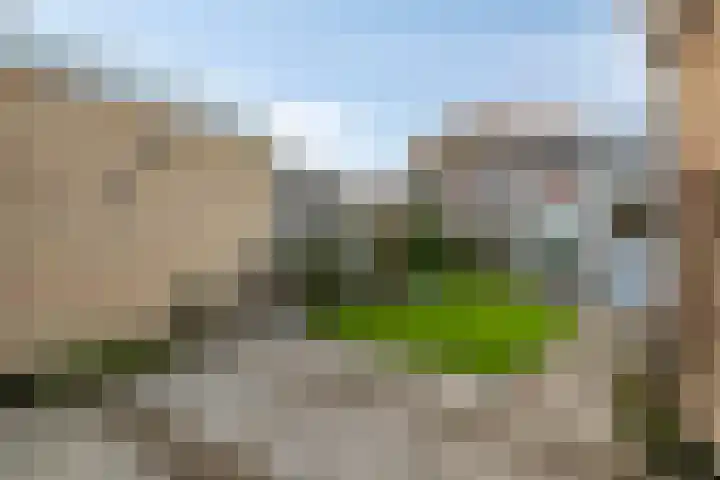 Rembrandt van Rijnsingel 80 Roelofarendsveen thumbnail 18