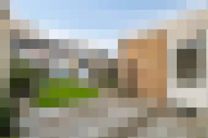 Rembrandt van Rijnsingel 80 Roelofarendsveen thumbnail 19