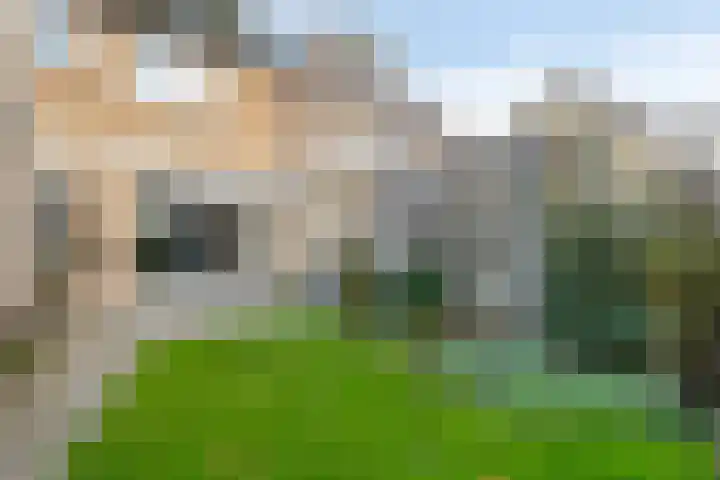 Rembrandt van Rijnsingel 80 Roelofarendsveen thumbnail 20