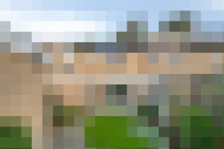 Rembrandt van Rijnsingel 80 Roelofarendsveen thumbnail 21