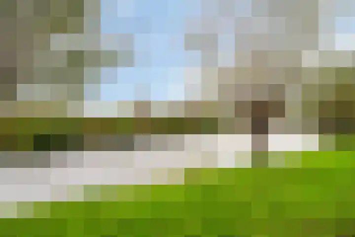 Rembrandt van Rijnsingel 80 Roelofarendsveen thumbnail 22