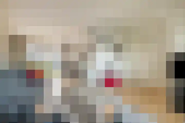 Rembrandt van Rijnsingel 80 Roelofarendsveen thumbnail 5